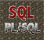 PL/SQL Training in the US