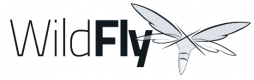 Wildfly Training in the US